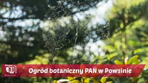 Ogród botaniczny PAN w Powsinie